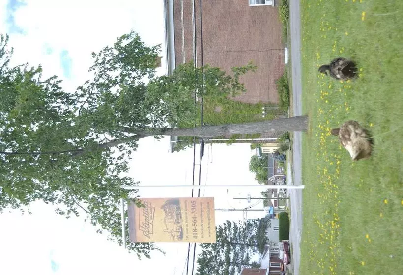 Aamiaismajoitus (B&B) Gîte Le Roupillon En Beauce