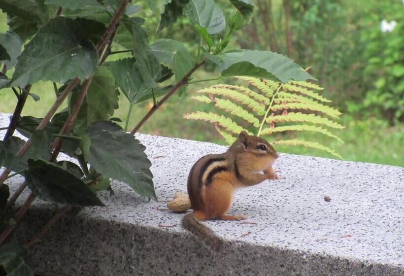 مبيت وإفطار Gîte Saint Laurent