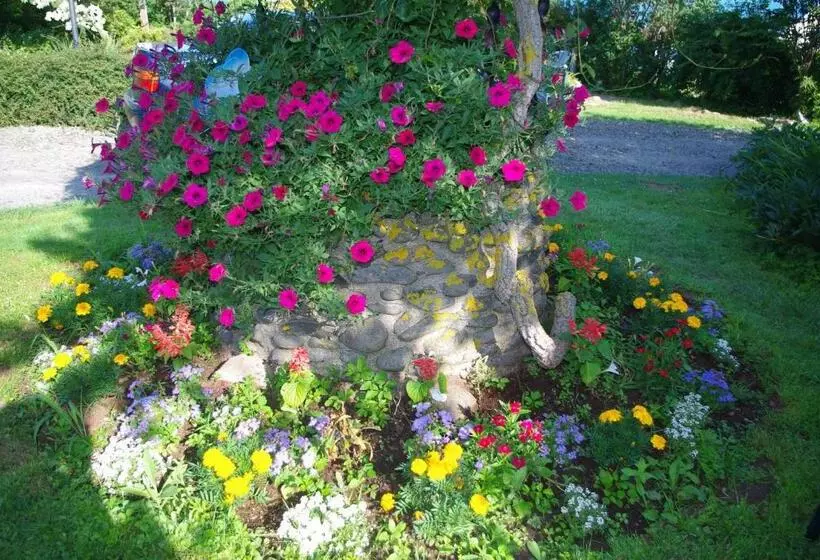 Aamiaismajoitus (B&B) Hedley House Inn