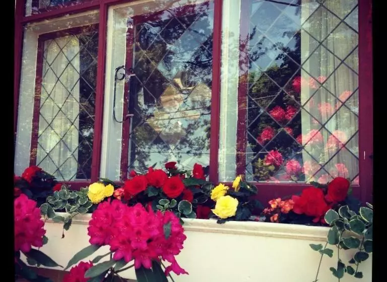 Belgravia B&b
