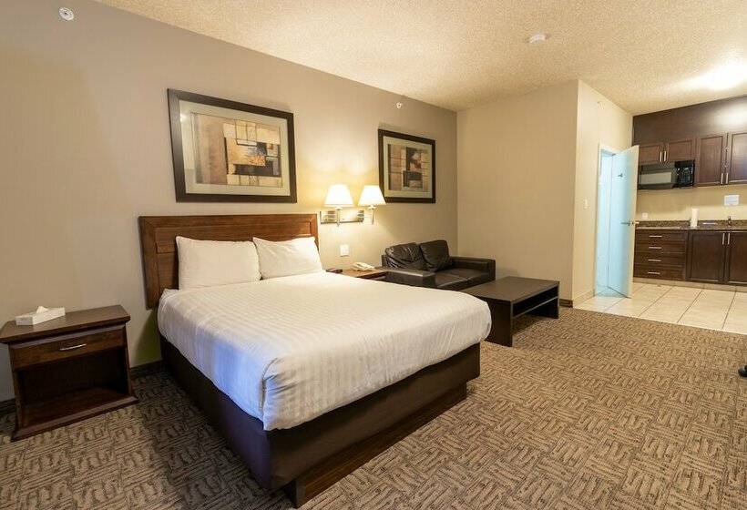 汽车旅馆 Bcminns Lac La Biche