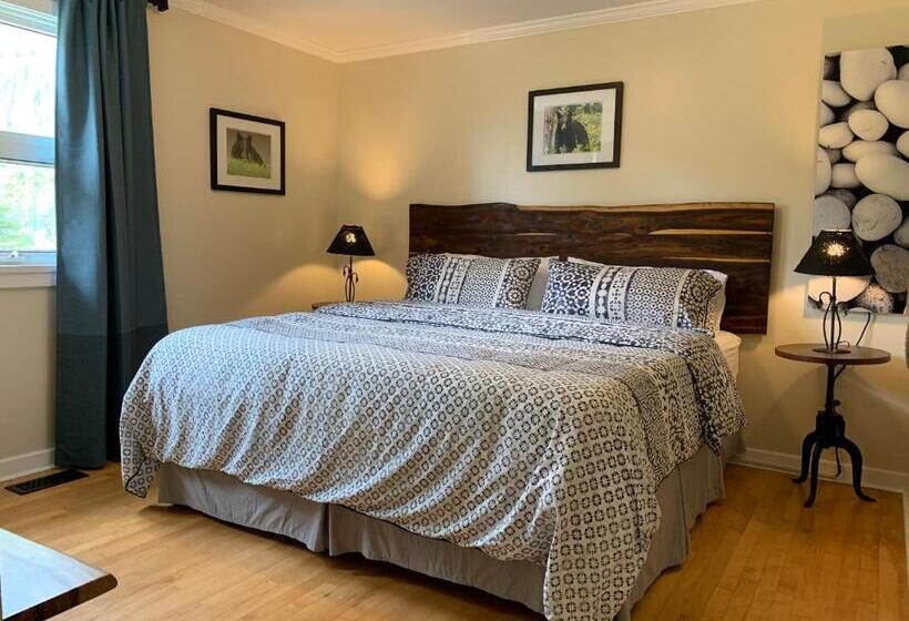 汽车旅馆 Canadian Rockies Inn Adults Only