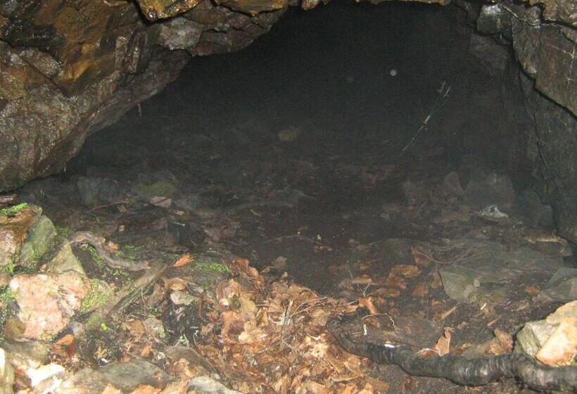 Motel La Maison De Travers