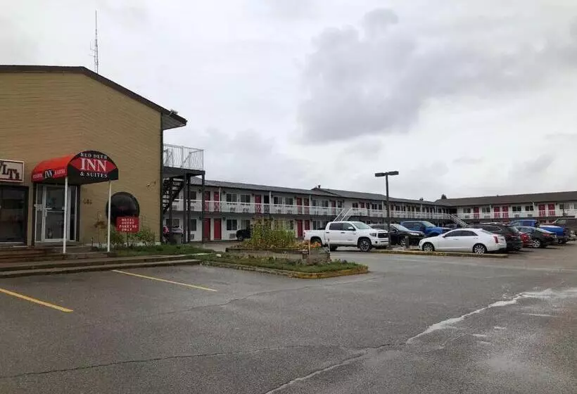 モーテル Red Deer Inn & Suites