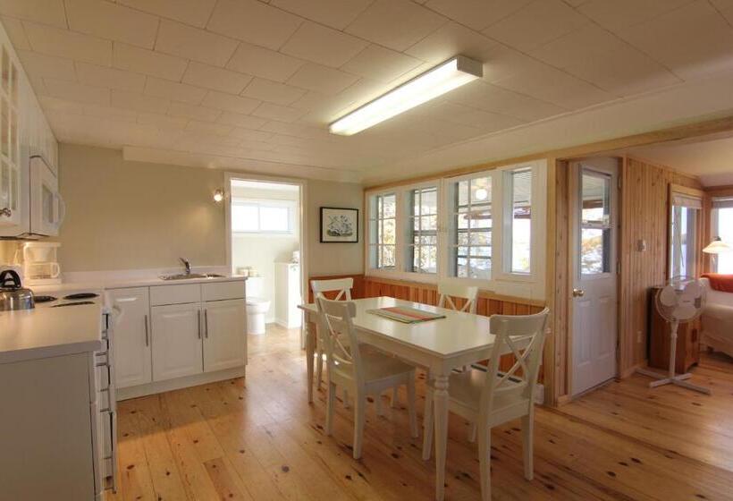 Resort Birch Cliff Lodge On Baptiste Lake