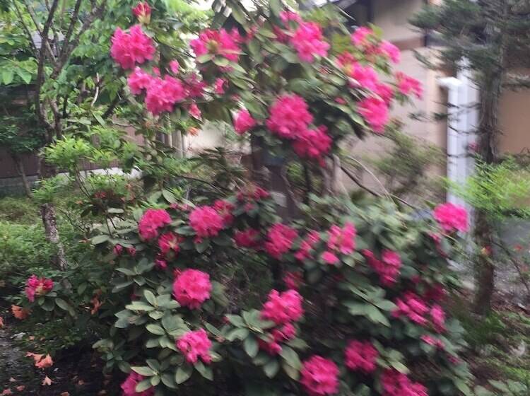 ריוקאן Hozanso