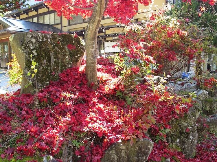 ריוקאן Hozanso