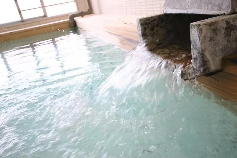 Ryokan Wasuki Tsukasakan