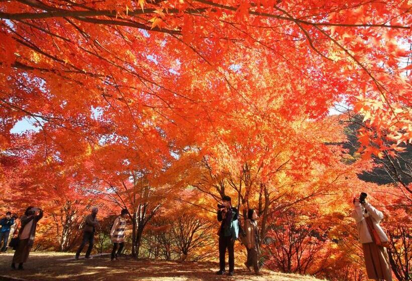 日式旅馆 Yoshinotei