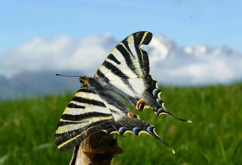 Albergue Turístico Briz