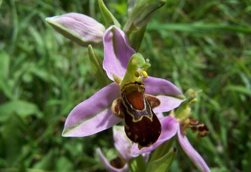 Albergue Turístico Briz