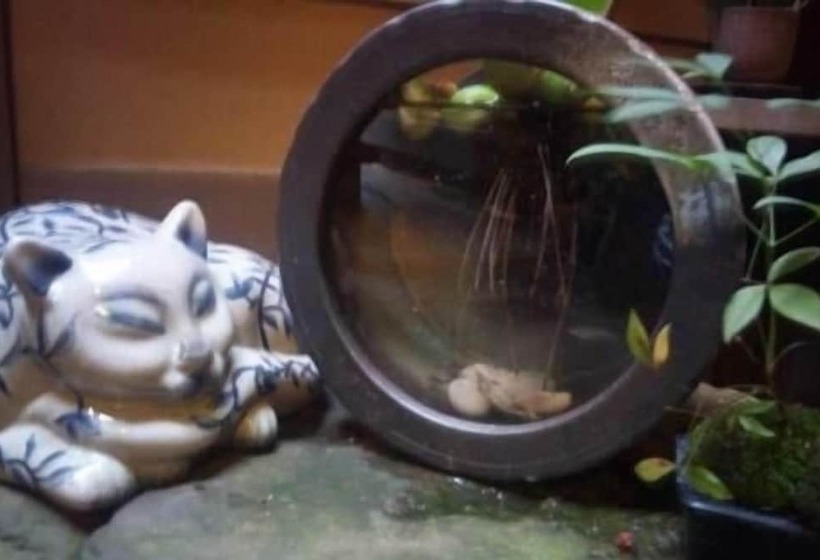 민박 Guesthouse Kingyoya