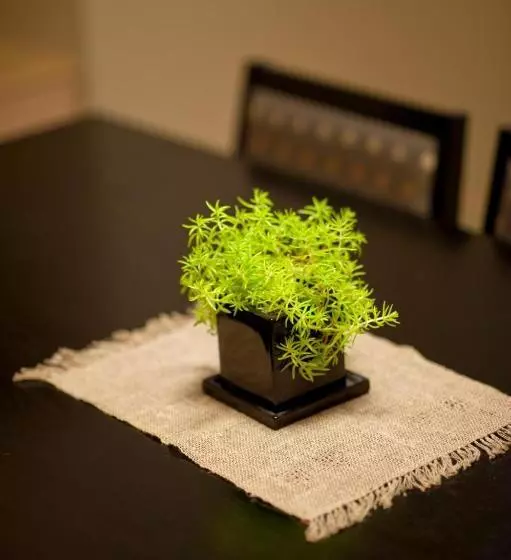 Hinode Ryokan