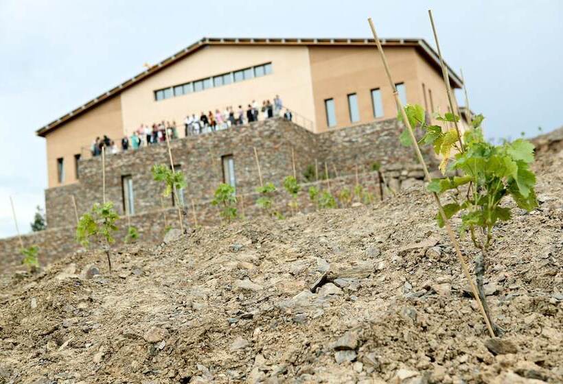 酒店 Buil & Gine Wine