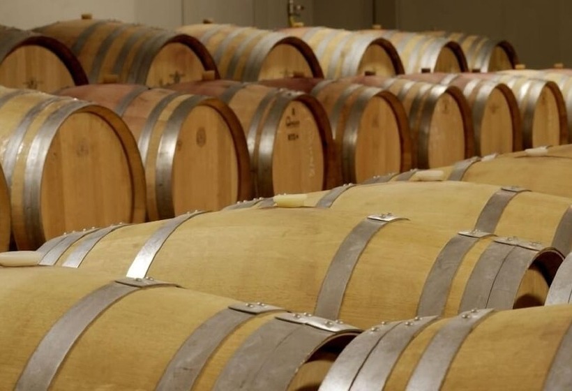 酒店 Buil & Gine Wine