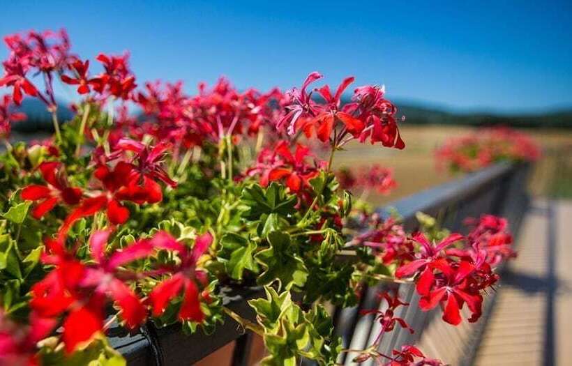 호텔 Casa Puyuelo Tierrantona