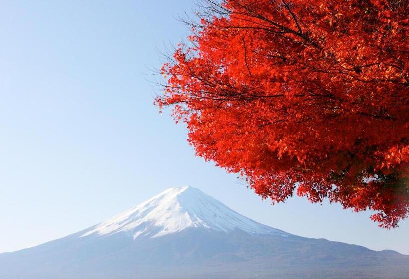 בית מלון כפרי Melange