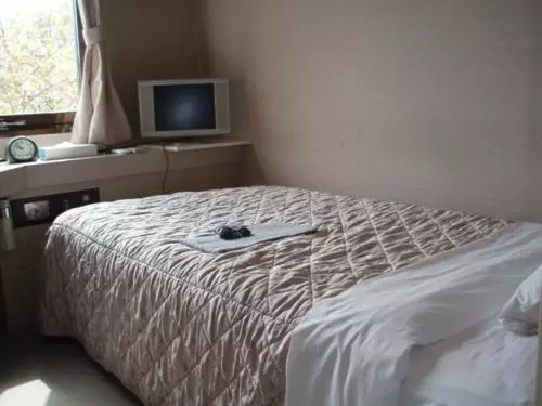 Hotel Jonai