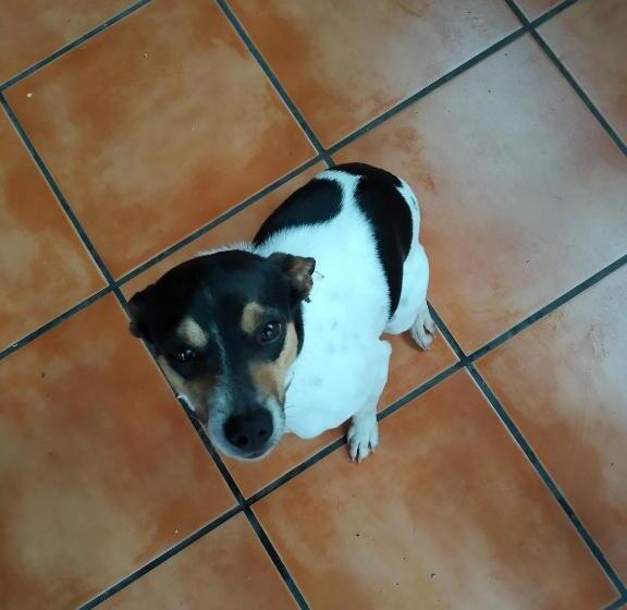 Отель Mendi Alai