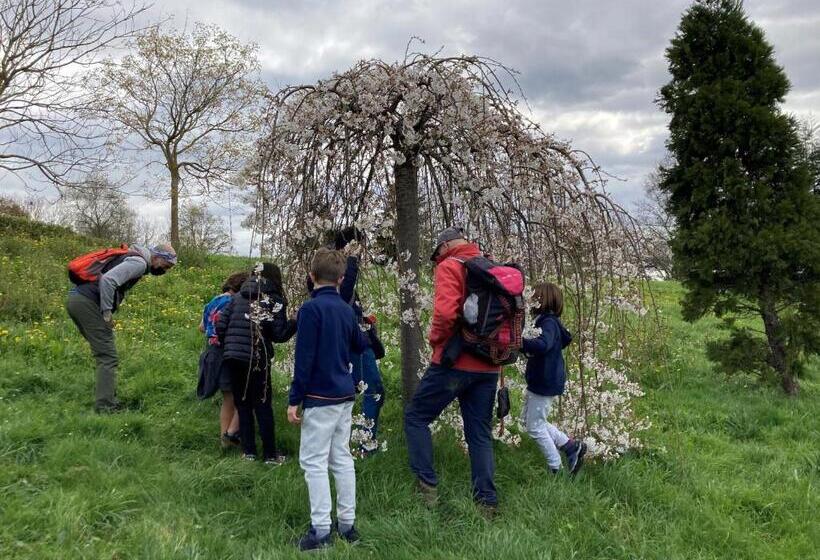 Отель Mendi Alai