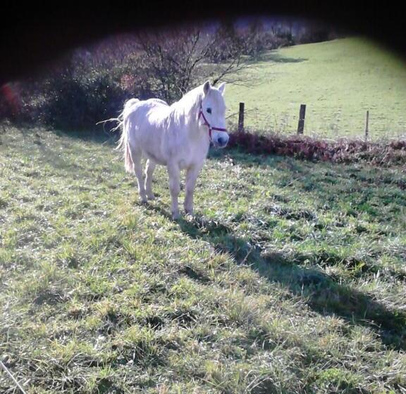 Отель Mendi Alai