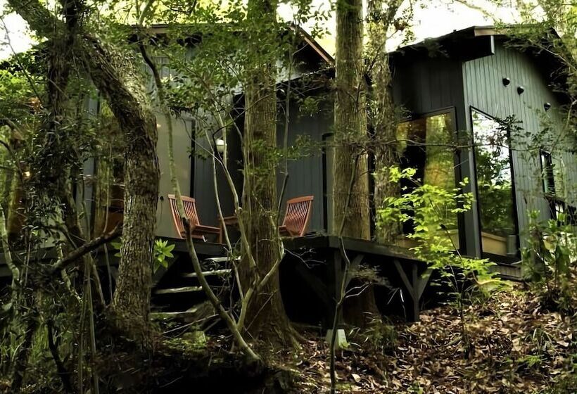 ריוקאן Sennomori