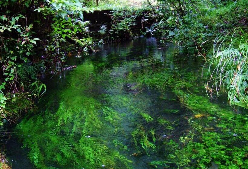 ריוקאן Sennomori