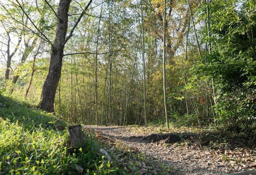 ריוקאן Sennomori