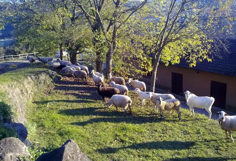Retkeilymaja Casa De Colònies La Cadamont