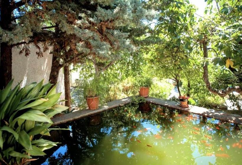 호스텔 Casa Jazmin