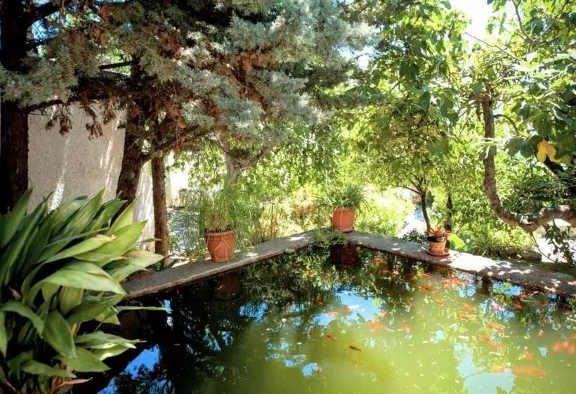 Hostel Casa Jazmin