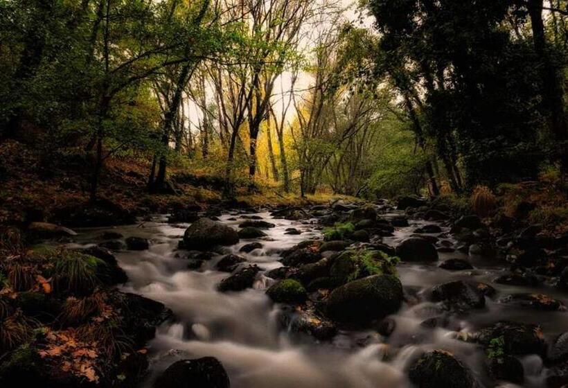 Hostel El Lago, Caceres