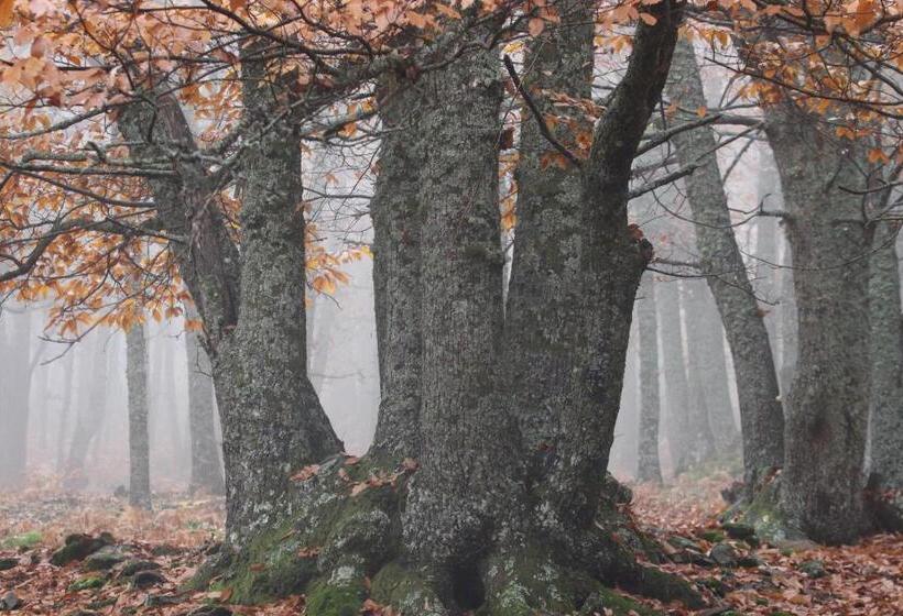 Hostel El Lago, Caceres