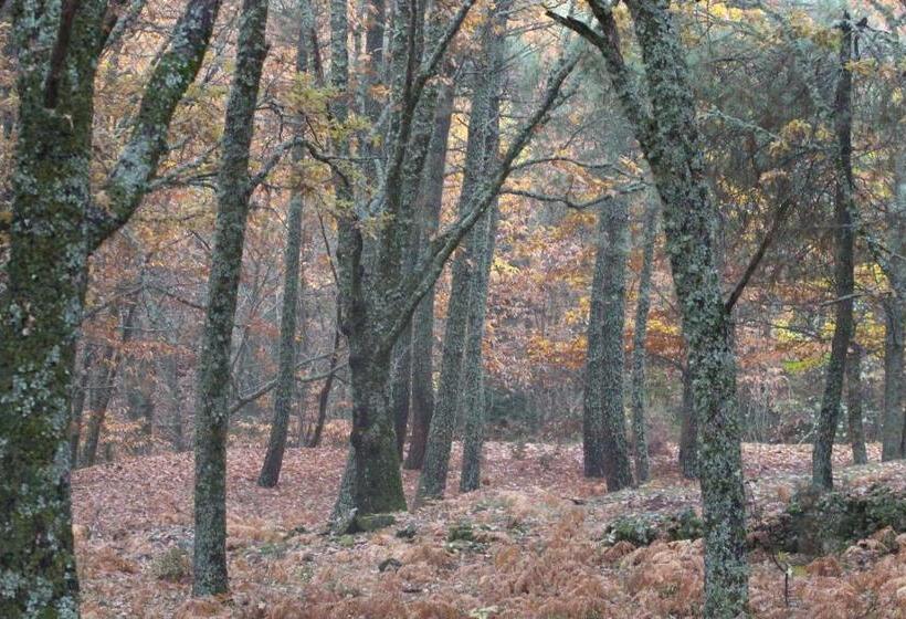 Hostel El Lago, Caceres