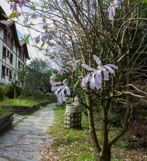 Hotel Adeko