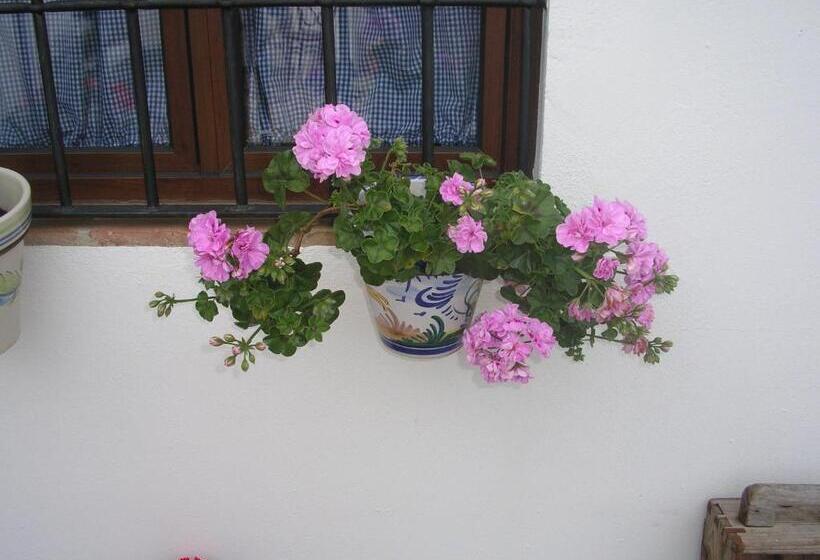 בית מלון כפרי Casa Rural Y Restaurante Casa Adriano