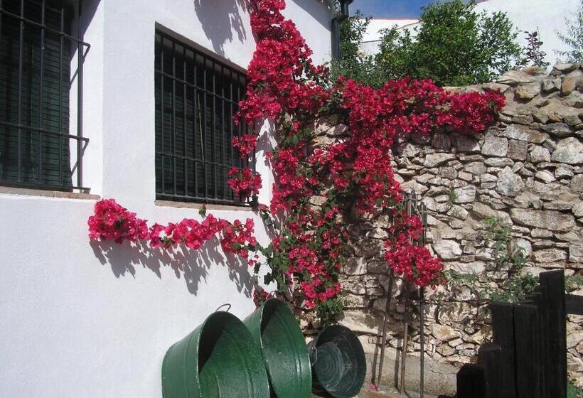 בית מלון כפרי Casa Rural Y Restaurante Casa Adriano