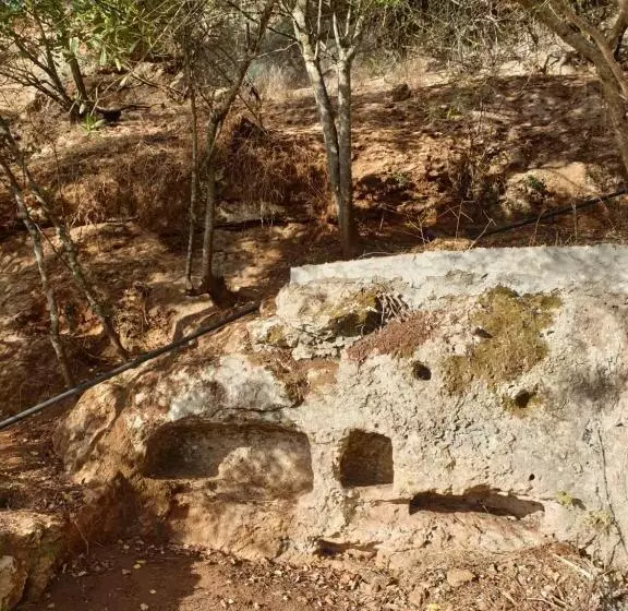 Hotelli Centro De Naturaleza Cañada Verde El Parque De Naturaleza Con Mas Experiencias De Andalucía