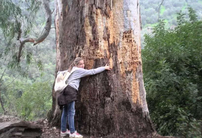 Hotelli Centro De Naturaleza Cañada Verde El Parque De Naturaleza Con Mas Experiencias De Andalucía