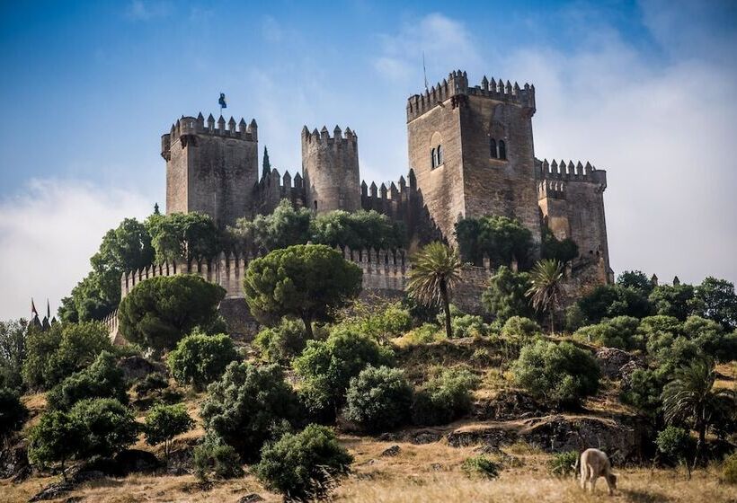 Отель Centro De Naturaleza Cañada Verde El Parque De Naturaleza Con Mas Experiencias De Andalucía