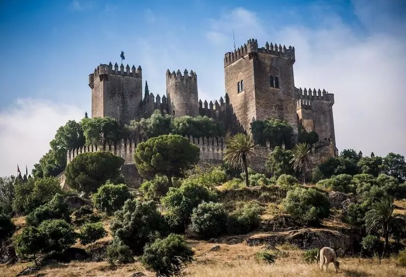 Hotelli Centro De Naturaleza Cañada Verde El Parque De Naturaleza Con Mas Experiencias De Andalucía