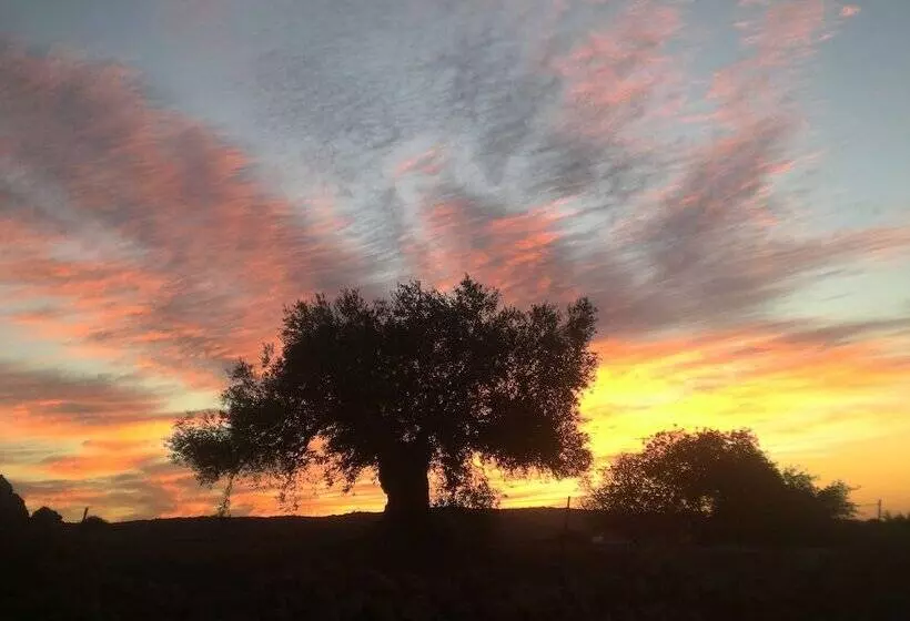 Hotelli Centro De Naturaleza Cañada Verde El Parque De Naturaleza Con Mas Experiencias De Andalucía