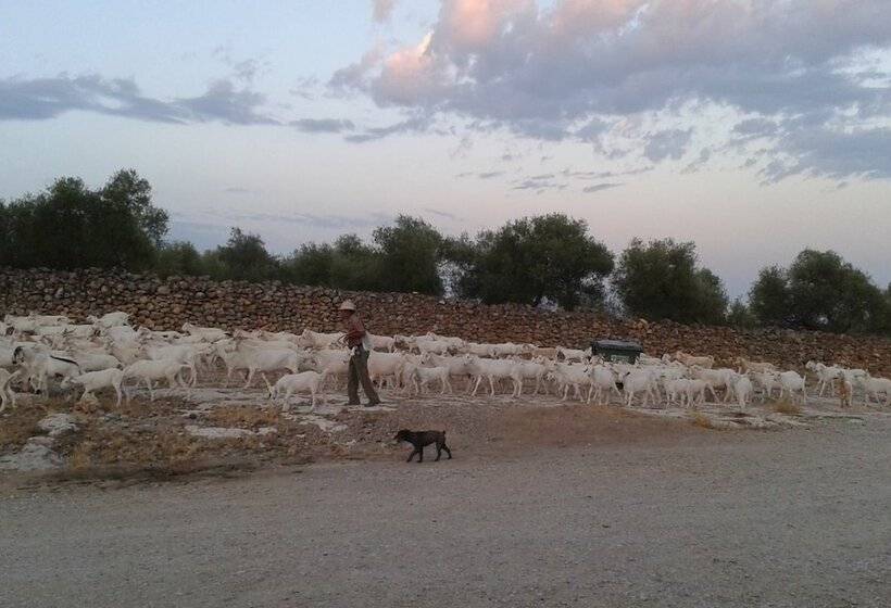 Отель Centro De Naturaleza Cañada Verde El Parque De Naturaleza Con Mas Experiencias De Andalucía