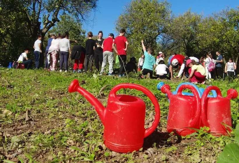 Hotelli Centro De Naturaleza Cañada Verde El Parque De Naturaleza Con Mas Experiencias De Andalucía