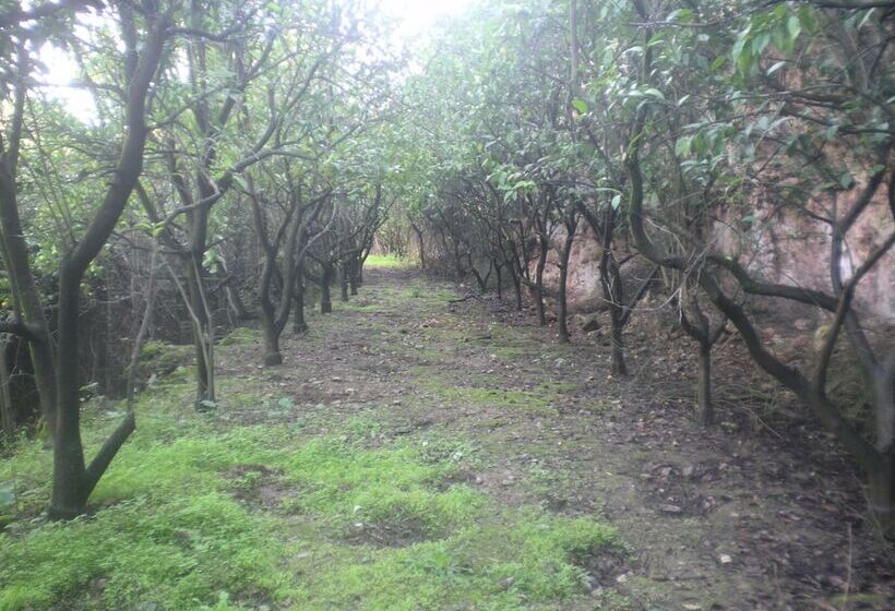 Отель Centro De Naturaleza Cañada Verde El Parque De Naturaleza Con Mas Experiencias De Andalucía