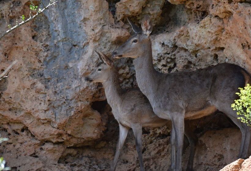 Отель Centro De Naturaleza Cañada Verde El Parque De Naturaleza Con Mas Experiencias De Andalucía
