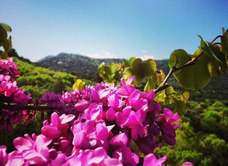 فندق Masia Vista Hermosa