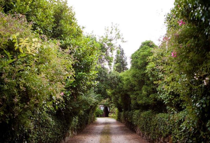 酒店 Pazo De Bentraces