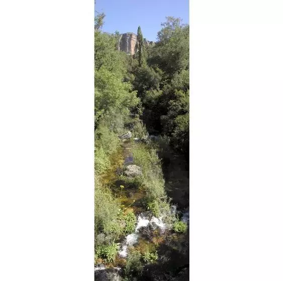 ホテル Real Balneario Solán De Cabras