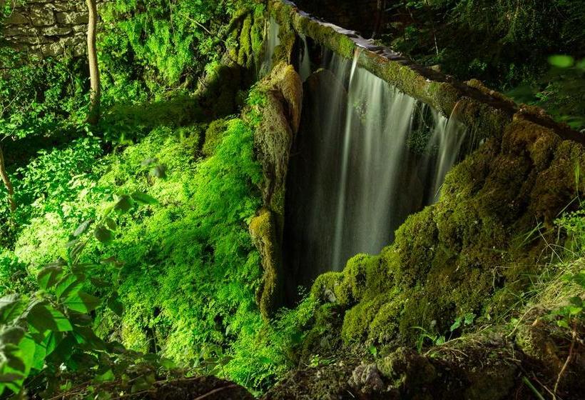 酒店 Real Balneario Solán De Cabras